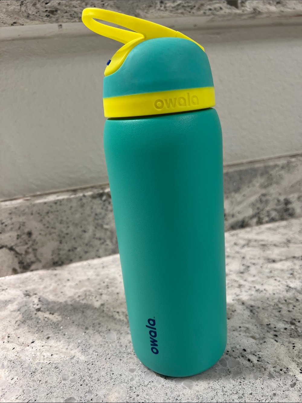 Owala 32 Oz Freesip Neon Basil
